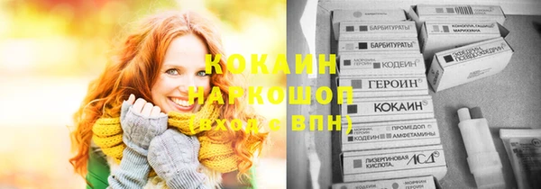 спиды Магас