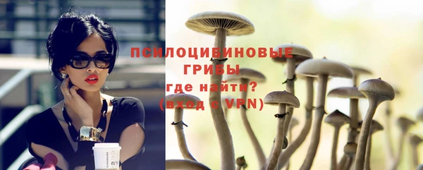 спиды Магас