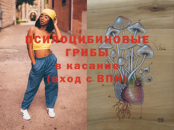 spice Лиски