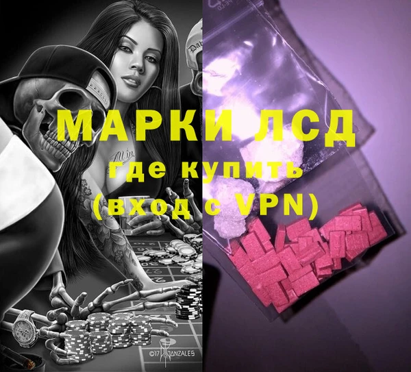 спиды Магас