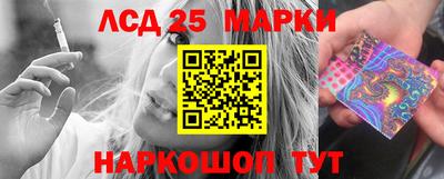 гидропоника Дубна