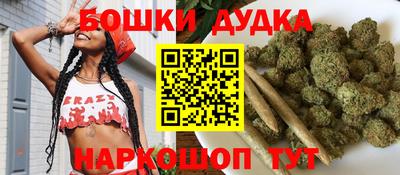гидропоника Дубна