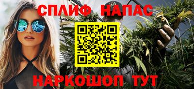 гидропоника Дубна