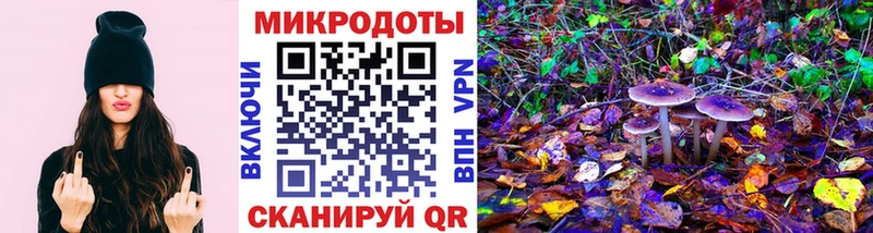 Галлюциногенные грибы Psilocybe  цены наркотик  Минусинск 